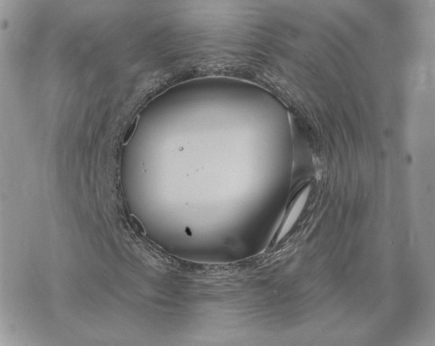 X0000075401153200609291634