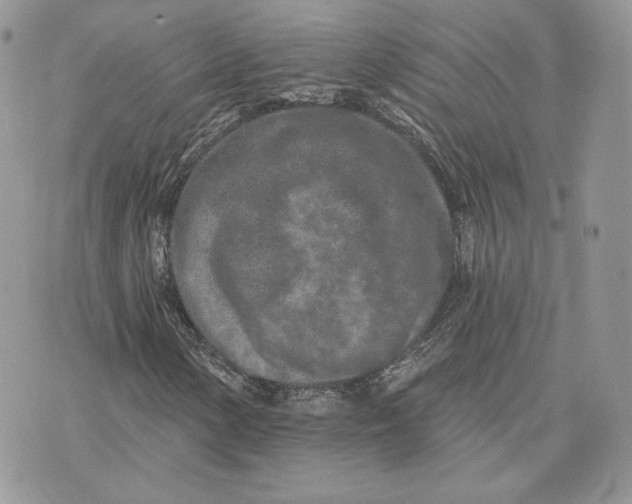 X0000075401154200609291634