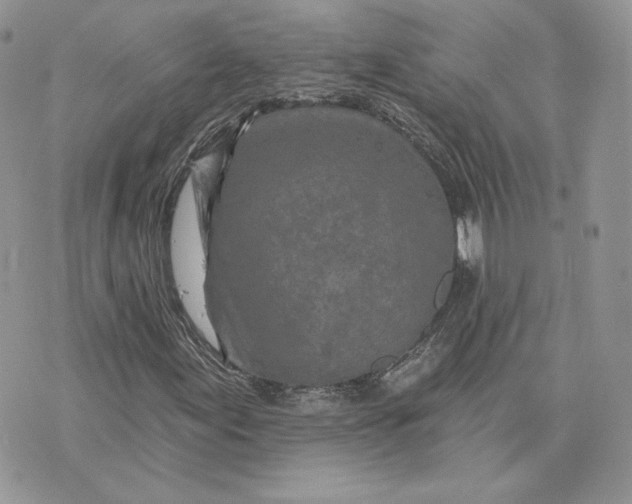 X0000075401155200609291634