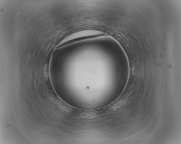 X0000075401156200609291634