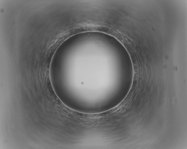 X0000075401157200609291634