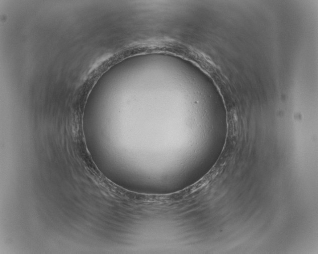 X0000075401158200609291634