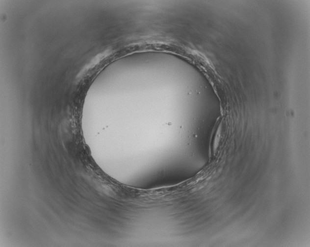 X0000075401159200609291634