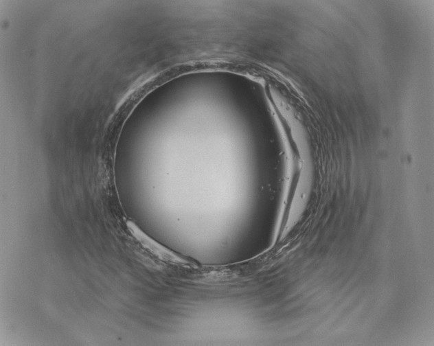 X0000075401160200609291634