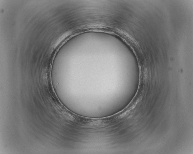 X0000075401162200609291634