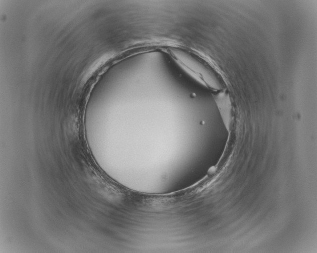 X0000075401163200609291634