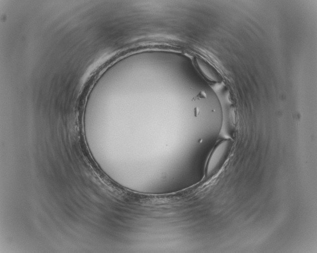 X0000075401164200609291634