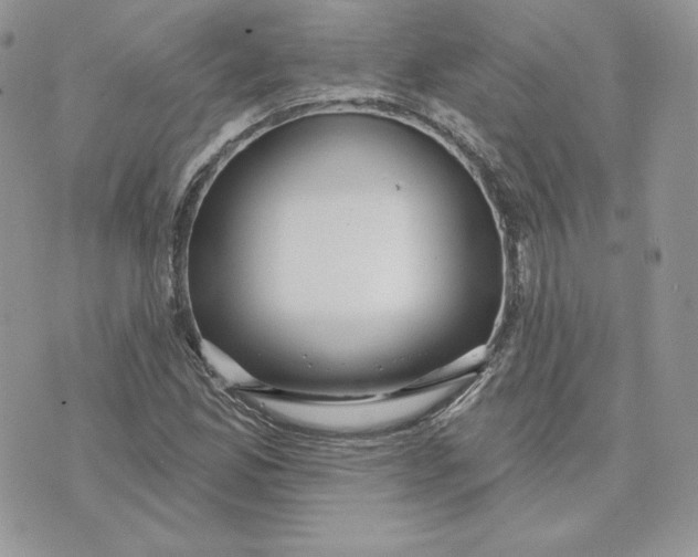 X0000075401165200609291634