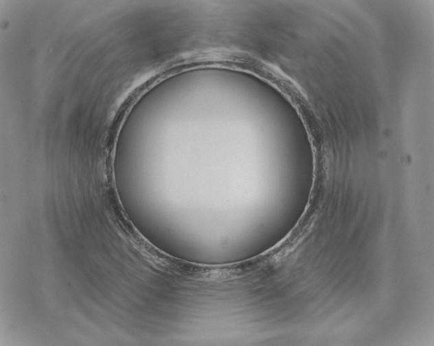 X0000075401166200609291634