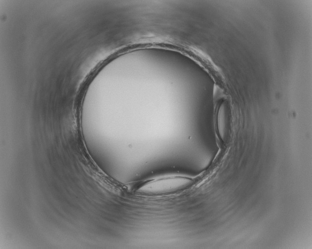 X0000075401167200609291634