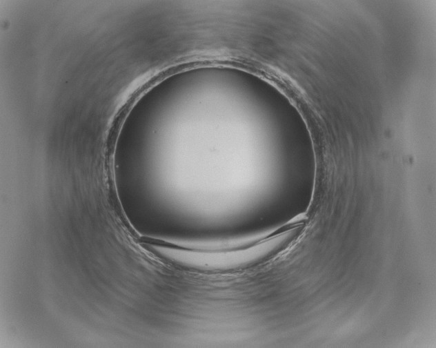 X0000075401168200609291634