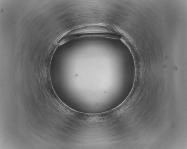 X0000075401169200609291634