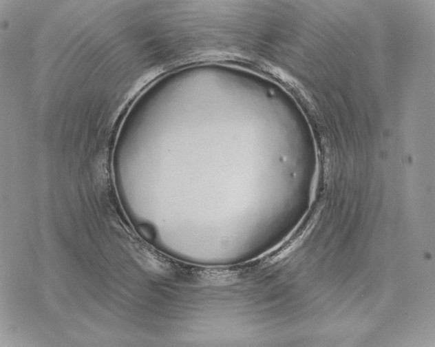 X0000075401170200609291634