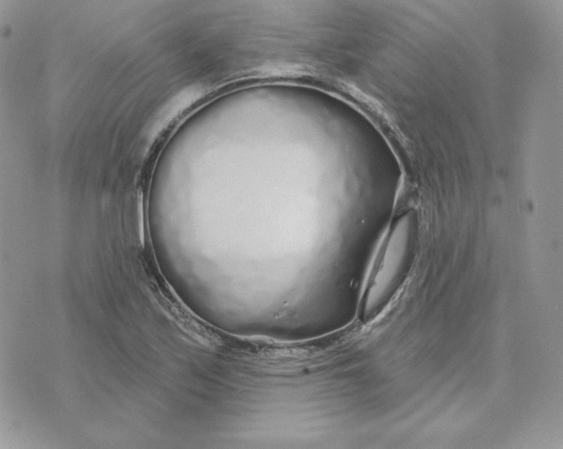 X0000075401171200609291634