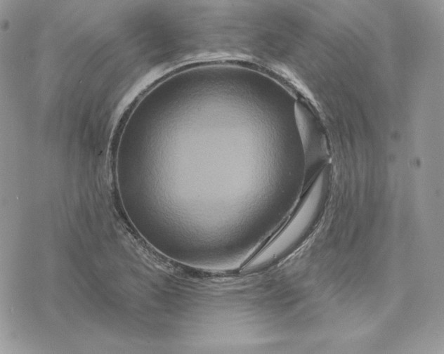 X0000075401173200609291634