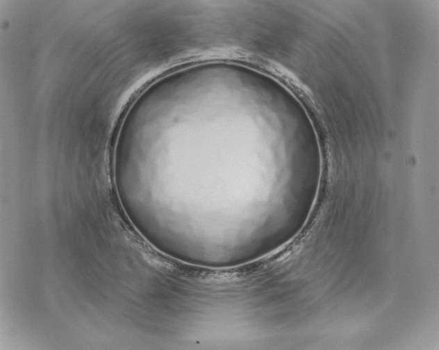 X0000075401174200609291634