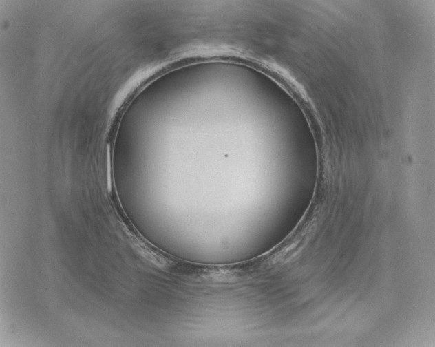 X0000075401175200609291634