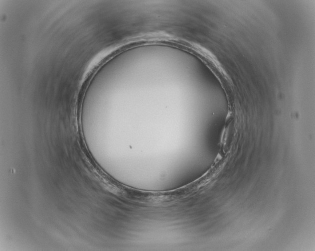 X0000075401176200609291634