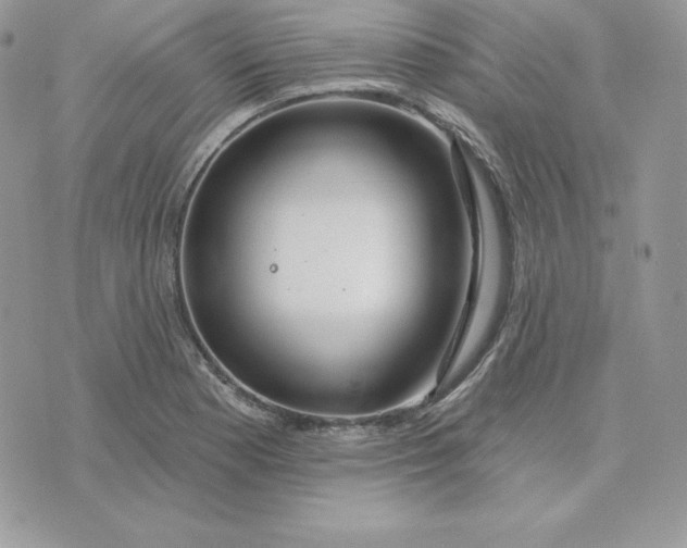 X0000075401177200609291634