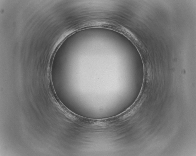 X0000075401178200609291634