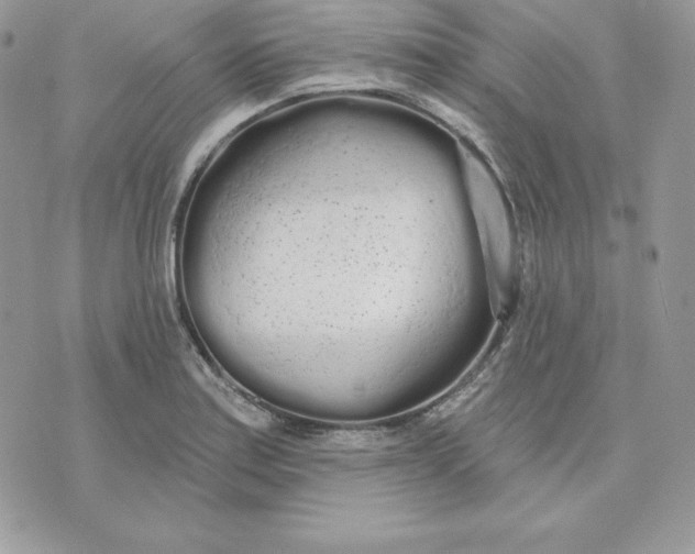 X0000075401179200609291634