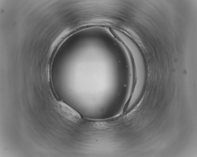 X0000075401180200609291634