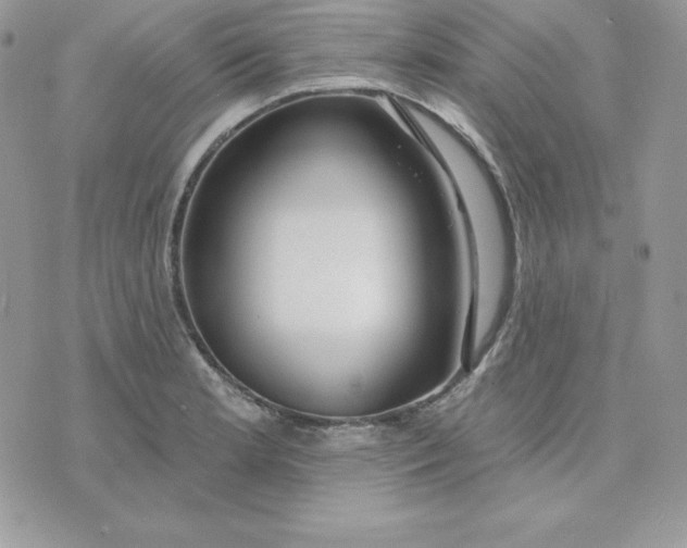 X0000075401181200609291634