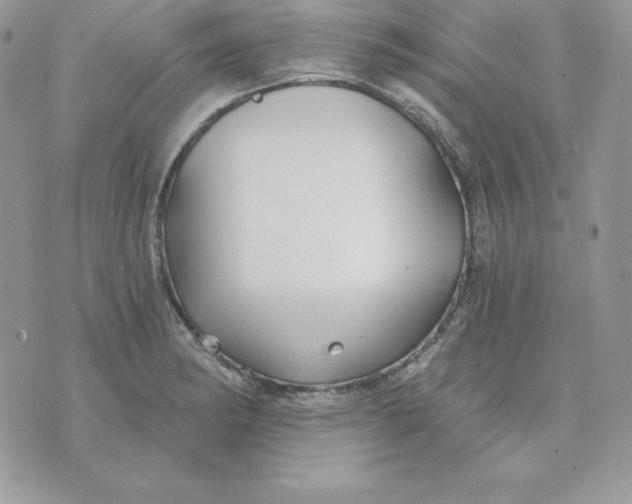 X0000075401182200609291634