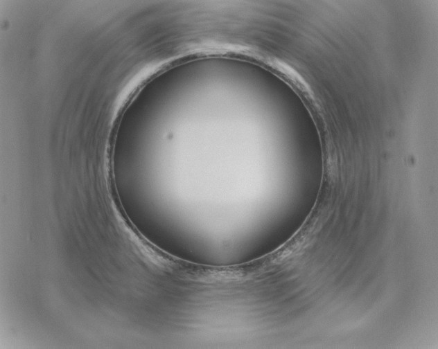 X0000075401183200609291634