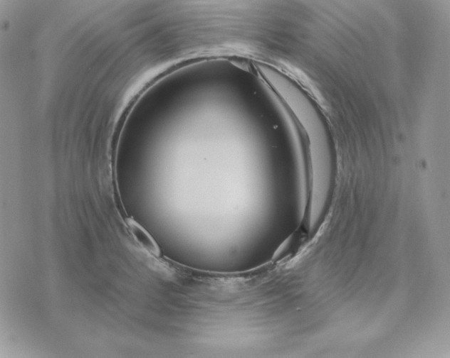 X0000075401184200609291634