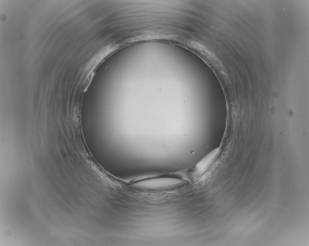 X0000075401185200609291633