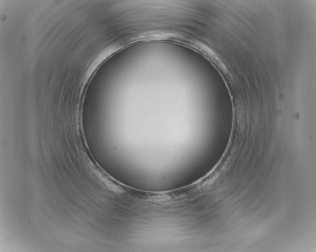 X0000075401186200609291633