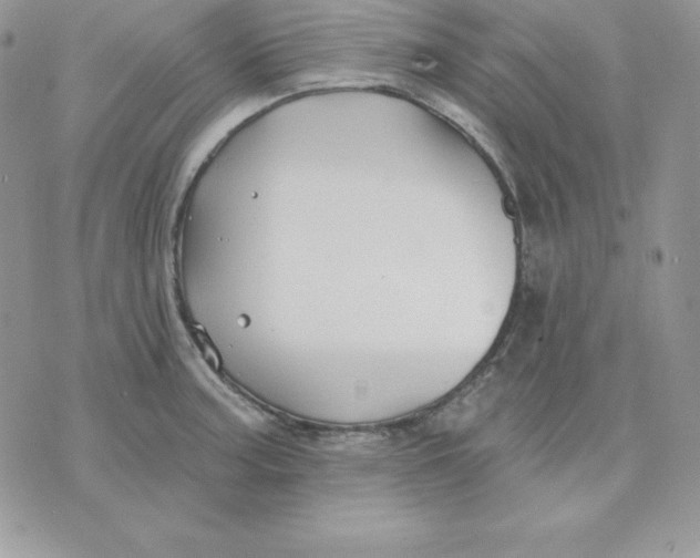 X0000075401187200609291633