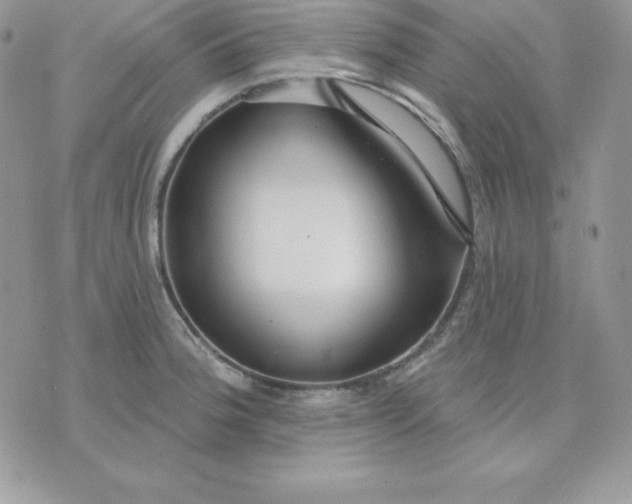 X0000075401188200609291633