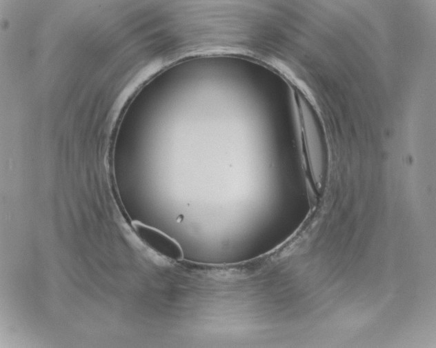 X0000075401189200609291633