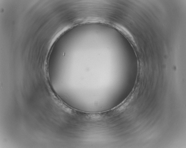 X0000075401190200609291633