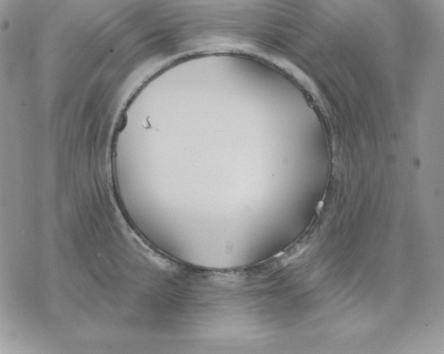 X0000075401191200609291633