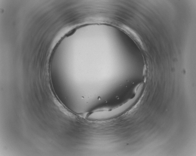 X0000075401192200609291633