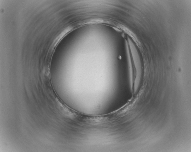 X0000075401193200609291633