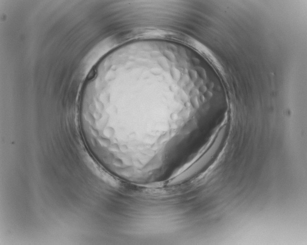 X0000075401194200609291633