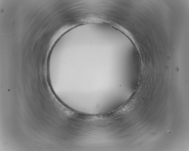 X0000075401195200609291633