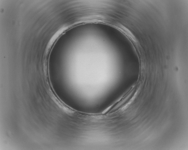 X0000075401196200609291633