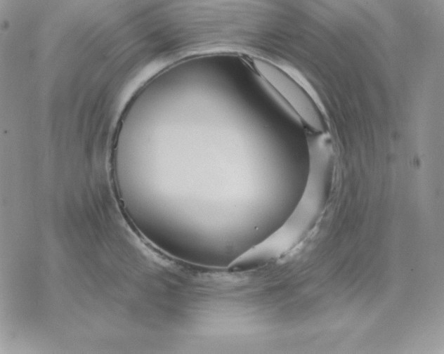 X0000075401197200609291633