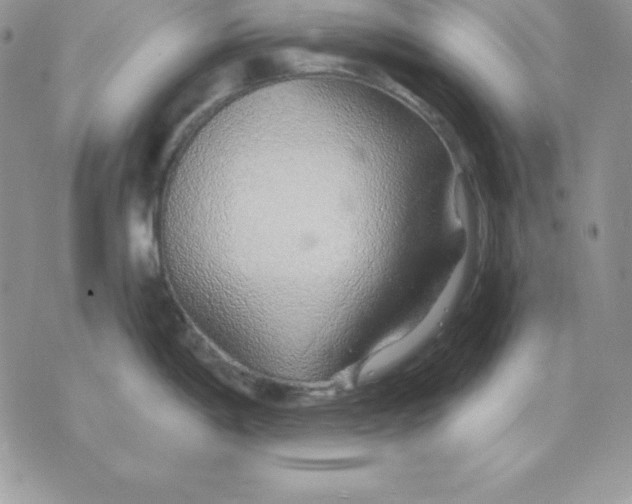 X0000075401198200609291633