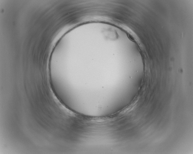 X0000075401199200609291633