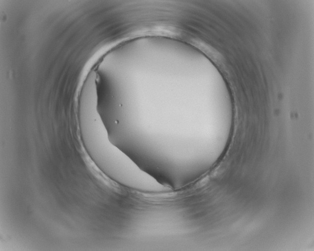 X0000075401200200609291633