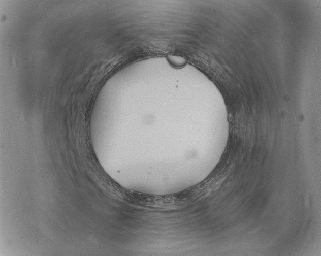 X0000075401201200609291632