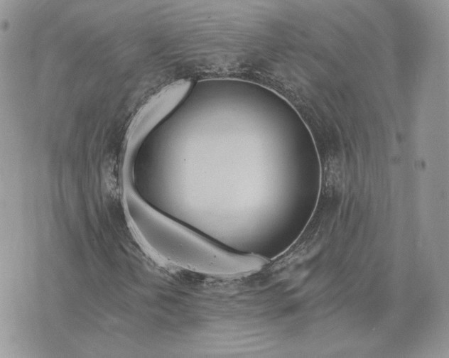 X0000075401202200609291632