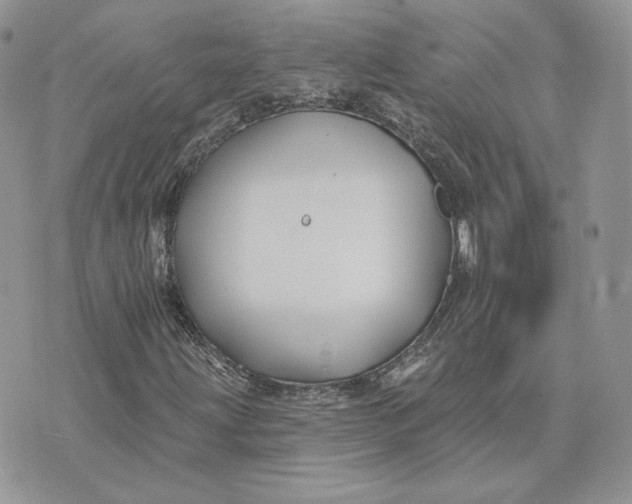 X0000075401203200609291633