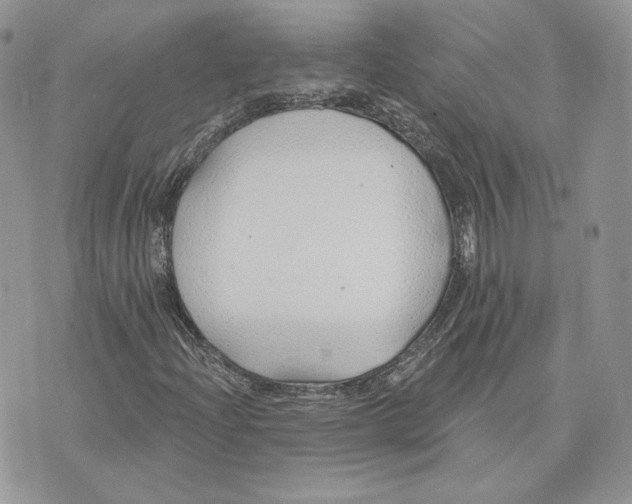 X0000075401204200609291633